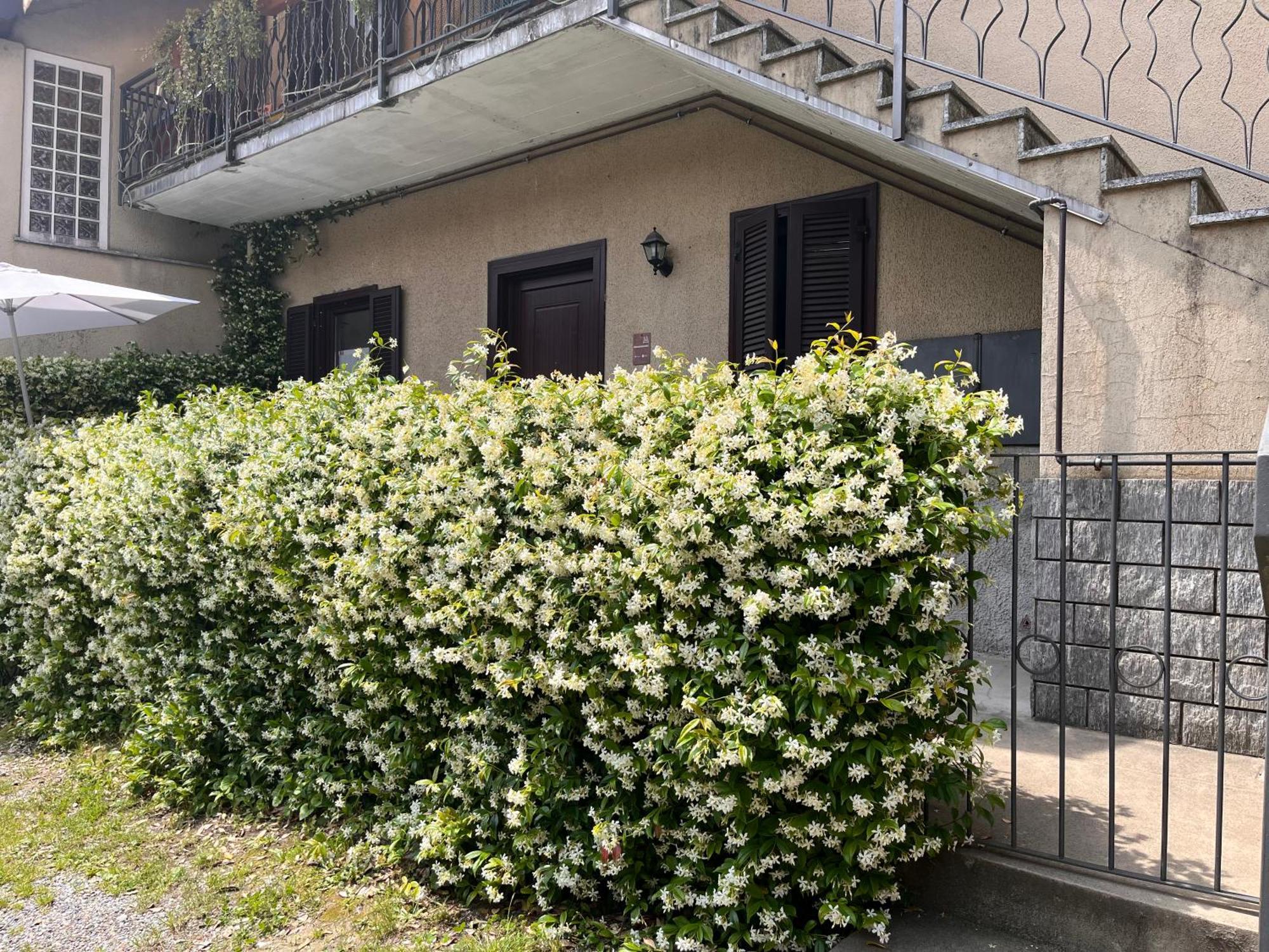 Il Cortile Como Single & Double Room In Apartment No Hotel 외부 사진