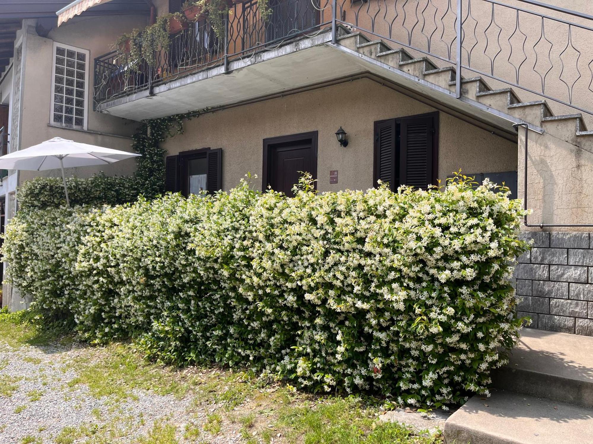 Il Cortile Como Single & Double Room In Apartment No Hotel 외부 사진